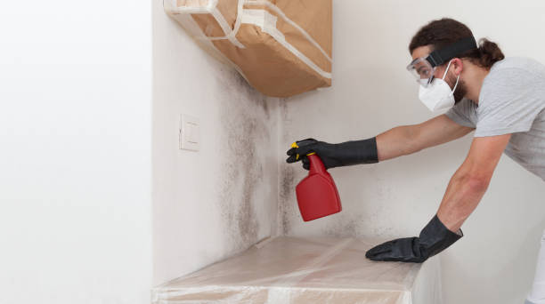 Professional Crawl Space Mold Remediation technician working in Haddon Heights, NJ