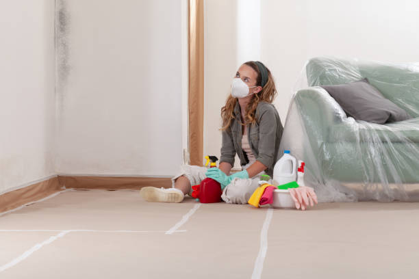 Reliable Crawl Space Mold Remediation contractor in Haddon Heights, NJ by Mold Remediation HQ