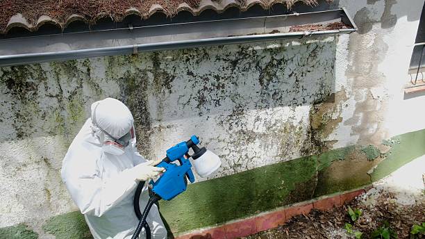 Top rated local Crawl Space Mold Remediation specialists in Haddon Heights, NJ